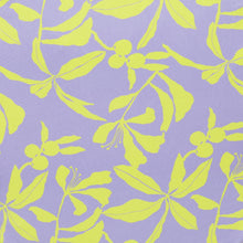 Load image into Gallery viewer, Image 06: Rio De Sol Set Set Glow Mel
